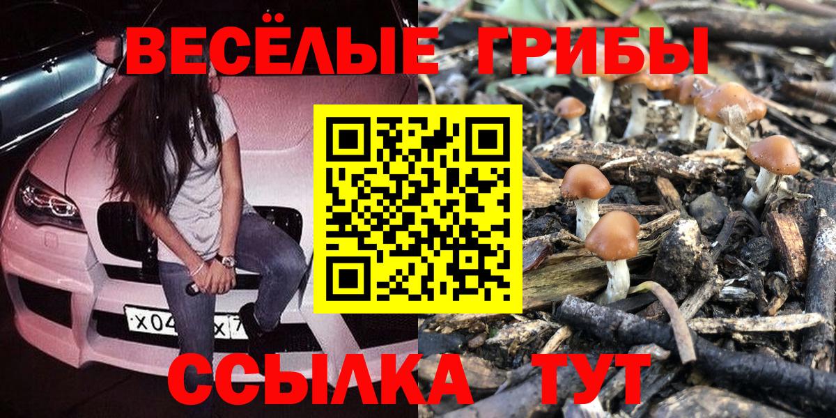 Галлюциногенные грибы MAGIC MUSHROOMS  Вход с VPN  Галлюциногенные грибы GOLDEN TEACHER  Волгоград 