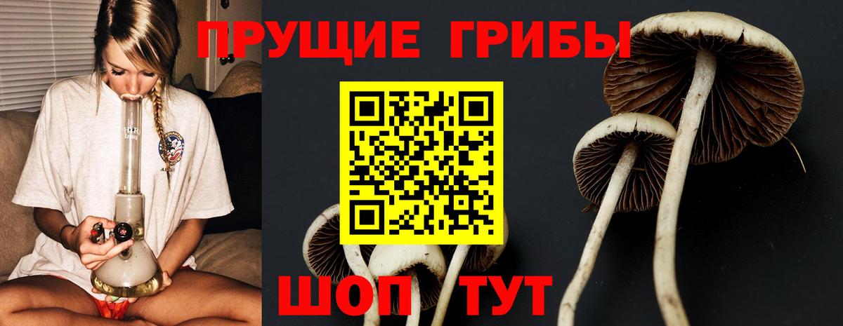 Псилоцибиновые грибы прущие грибы Волгоград